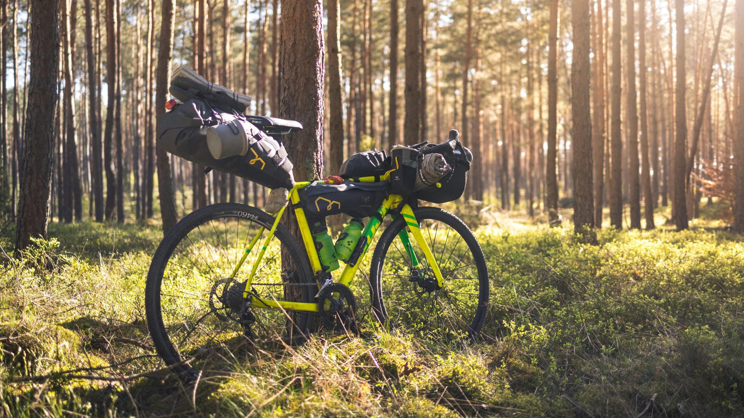 The Lightweight Bikepacking Checklist I’d Actually Recommend Explore the tranquil forest setting while bikepacking on a gear-packed bicycle, capturing the spirit of adventure and nature.